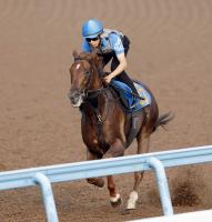  �ڼ�ͼ�ޡۥ�����ե꡼���󤬲�®��åפǽž޽�ĩ��V��ȴ����ʤ����������ε���������Ƿޤ������