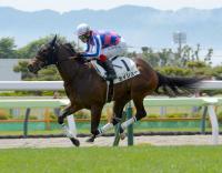  ȡ2SŸ˾46ǯ֤쥳ɹΥ硼2нžް־