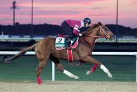  ��������ư���ۥ��󥨥�ڥ顼�Ϻ�ǯ�Ⱖ�����ԥ���S���鳮����ޤػ�����26���й�ǰȾ�Ϻ����������