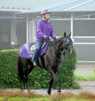  ��������ư���۰��ĵ�ǰ17��Υȥ������ȡ���Ͻ�Υ�����ĩ��Ȥʤ륨���S��