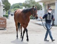  ��������ư���۰��ĵ�ǰ4��Υ֥쥤�ǥ����������Ͽ��㵭ǰ�ء�23ǯ�Υ��ꥶ�٥���������