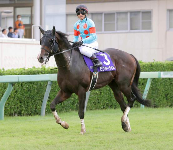 【セレクトセール2025】新種牡馬ピクシーナイトの牡馬が7200万円で落札　21年のスプリンターズS勝ち馬