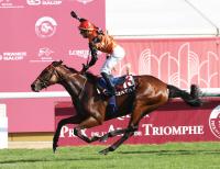  �ڥ��쥯�ȥ�����2025��23ǯ�γ�������ϥ���������ѥ��Ȥλ���֥��㥹�ȥ�å��󥰤�2025�פ�3100���ߤ����