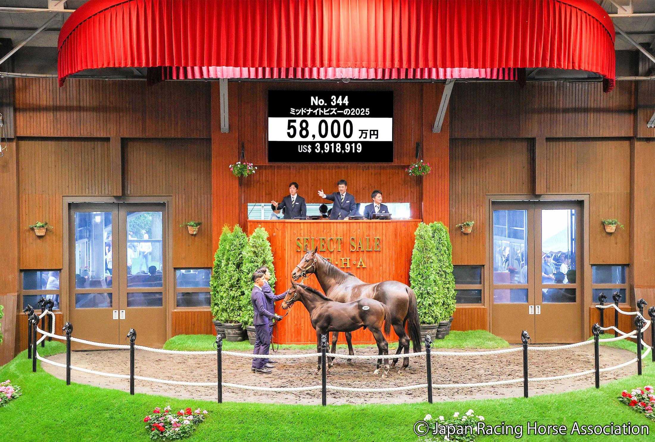 ジャパンカップ外国馬の現地購入馬券 QWYJ3L8RGJ-