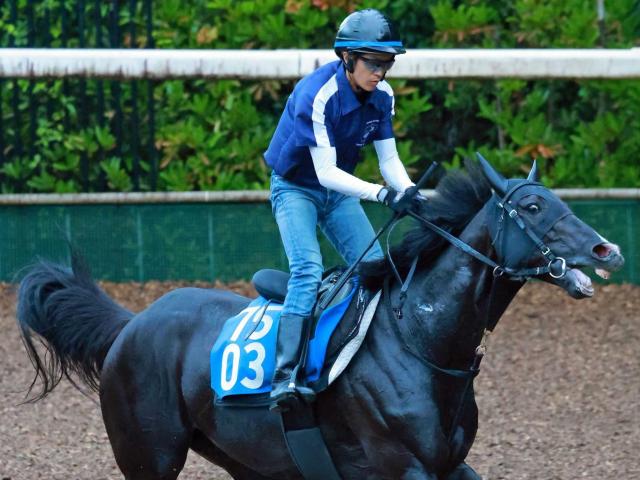 【小倉記念】ニホンピロキーフ　過去３勝の小倉で本領発揮だ　大橋師「直線は平たんがいいね。相性がいいし、巻き返したい」