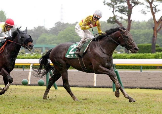 引退を表明していたカラテが競走馬登録を抹消　今後は東京競馬場で乗馬に