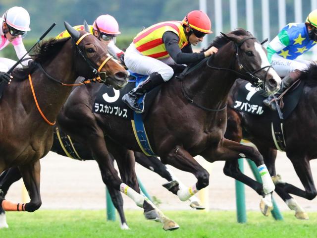【小倉記念】叔父は日本ダービー馬 ラスカンブレスが重賞初挑戦初制覇なるか