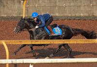  �ھ��ҵ�ǰ�ۥ��ԥե��ˡ��������ȶ��˾徺���ȥåץϥ�Ǥ�ϤͤΤ��롡�����ֽ뤵������פǤ��͡�