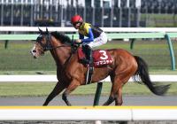  ��������ư���ۥޥޥ�����ϥ���ȥ���S������ǻ�ư����2ǯ�֤꾡�����������ץ�󥿡���S��