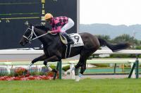  ��ȡ��1R��2��̤��������ɷ쥹�ޡ��ȥץꥨ���뤬2���ܤǽ���������˭�ָ����������Ǽ��Τ����ϡ�