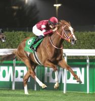  ���󥨥�ڥ顼����ǯ�ⳮ�����ĩ���!��9��13�������ԥ���S�ǻ�ư���Ⱦ�Ϻ��