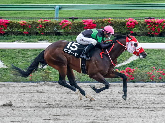 【東海S見どころ】快進撃が続くビダーヤの5連勝に期待