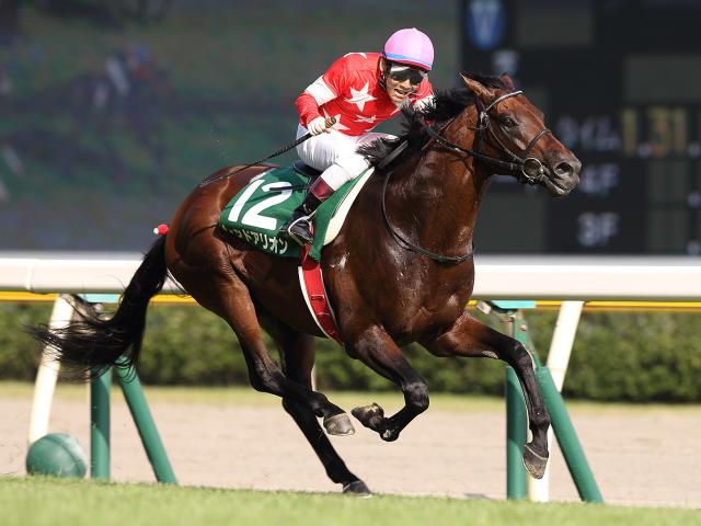 兄クラレントに続き“きょうだいでサマーマイル王者”に 弟レッドアリオンの関屋記念Vから10年