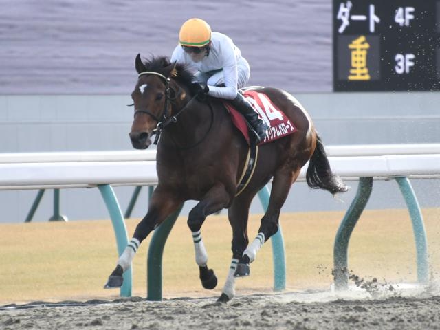 今年から「ダ1400m」に変更 第42回を迎える東海Sの歴史振り返る