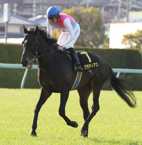 21年京成杯を制した7歳馬グラティアスが引退…ノーザンファームで乗馬に　クラシック3冠皆勤