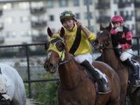  �����ܤˤϵ���ʤ�����������ɾ���޾徺��4ǯ�ܡ������ͧ�����ꡡ�˥塼�������ɤ��ܳФ᤿22�Фκ�