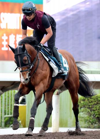 【注目馬動向】重賞3勝プログノーシスが引退　海外G1で4度の2着　今後は種牡馬入りを予定
