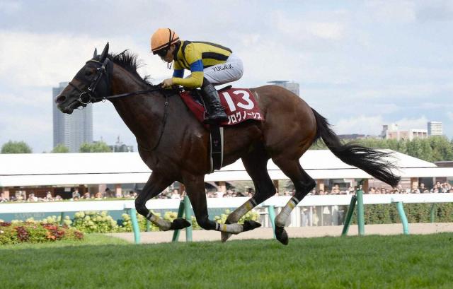 プログノーシス引退　種牡馬入りを予定　香港、豪州でG12着4回