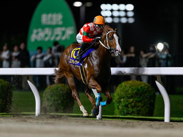 【船橋・習志野きらっとスプリント枠順】連覇を狙うエンテレケイアは6枠10番