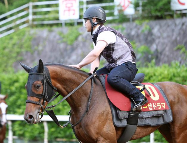 【クイーンS】メンバー唯一の3歳馬レーゼドラマがキング姐さんを味方に飛躍する　陣営「長くいい脚を使える馬」