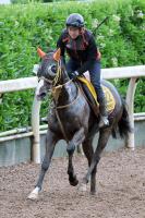  ڥS۹ɺ󥰥åȥ󥰡쥸ɥѥǾγΤ򡡿رġ˭åϤФƤ館