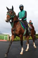  ڻڵǰ2̳ƻǸäѤΥʥࡡرġȡ۵ǰȤäѲФƤƤ