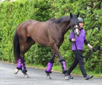  ��������ư��������2����������˥�å���������Υ�����S�����8���˵�����ͧƻĴ���ա��Τ�դä��顣����������