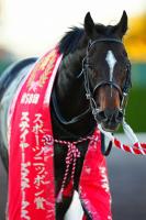  ˭ȿ!ꥨλڵǰȾ夬ꡡ3ܤνžVܻؤ