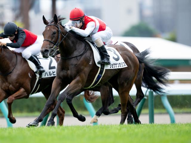 【POG】ショウナンカリスは池添ですずらん賞へ/馬三郎のつぶやき