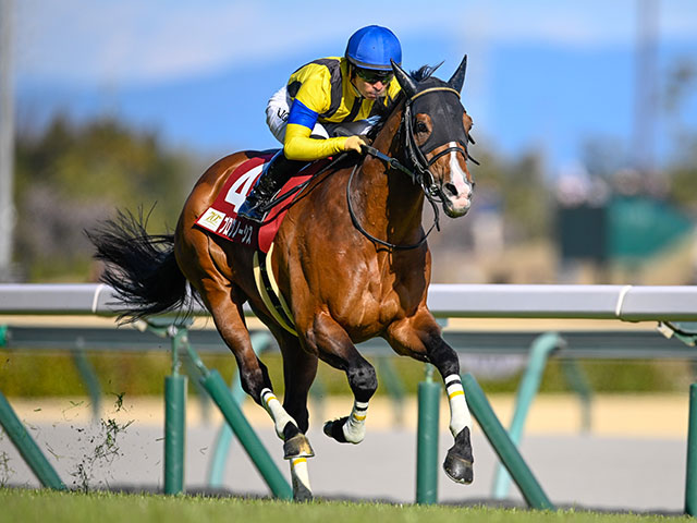 重賞3勝プログノーシスが登録抹消 今後は種牡馬入りの予定