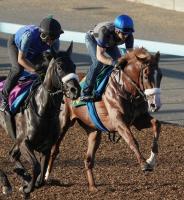  ڿ㿷ۡȥɥ2ֻҡɥץ᥵ɡ᡼饳󥿥ȡܡ