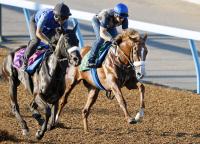  ᡼뵳꤬˶Ĥ饳󥿥ȡɥ2ֻҥץ᥵ɤˡ줤äפȾд