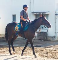  POGۥ쥯ȥ21ߤΥĥʥ816ǥӥ塼ܻؤĴա֤ǺϤ