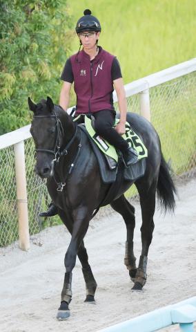 3冠牝馬リバティアイランドの半妹「スーパー良血」コニーアイランド　姉と同じ中内田厩舎×川田のタッグで初陣臨む