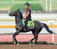  ڿȾФϣϥХƥɡĶɷϥˡɤء֤ޤޤưƤ