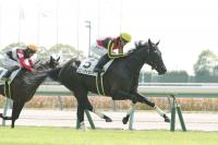  �����2R��2�п��ϡۥ�Хƥ��������ɤ��女�ˡ��������ɤ�Vȯ�ʡ����ľ�������֤褯���Ƥ���Ȥ����⤢�ä��Τǡġ�