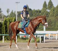  3ο4Rܤο!ɥ2ֻҥץ᥵ɤ˥᡼뵳֤