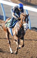  ڿ4R2пϡĶɷϥץ᥵ɤǥӥ塼V᡼뵳֥ɥλҤ̡