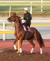  ưۥΥǥ뤬ǽɤǥ㡼פưG1󥿡ʥʥSĩ