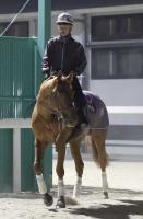  G1Υǥ뤬ǽɤĻաϤθǲơ