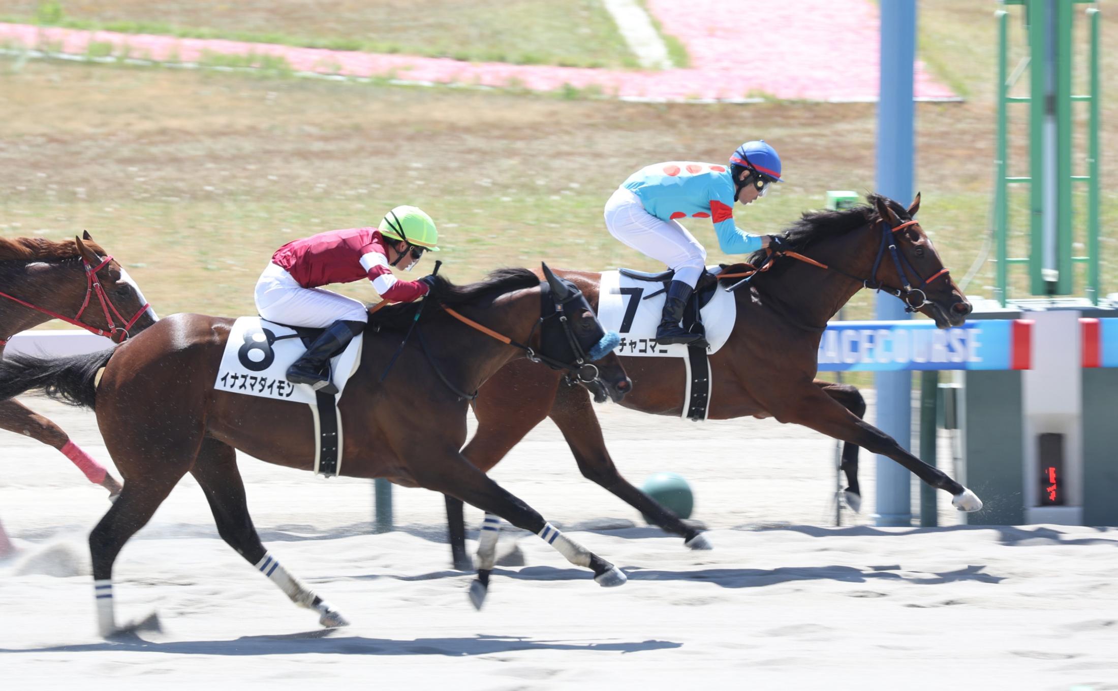 ホッコータルマエの軌跡 GI＆JpnI・10勝のダート王/名馬列伝
