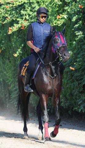 【期限切れ単勝馬券】第64回オークス　スティルインラブ　2003/5/25 期限切れ単勝馬券】第64回オークス スティルインラブ 2003/5/25