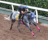  ��������ư���ۥ����ӥ�SD2��Υƥ����ॹ�ѡ����ϥ���ȥ���S�����襷�Υ����������⻲��ͽ��