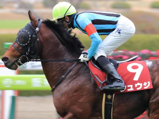 伯父は重賞2勝のシュウジ ニシノコハルビヨリがデビュー