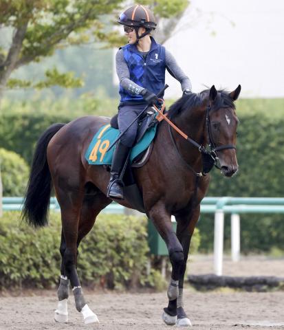 【POG】8・10新潟デビューのオルネーロは期待の良血馬　18年阪神JFを制したダノンファンタジーの半弟
