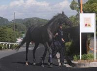  �����ӡ��ϥ�����ǥ�Ρ��뤬�����褫�鷪��˵��������ϳ�����ޤ�ĩ��