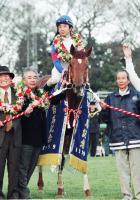  ȺǶɤΥץۡ饹8˻̡ӥååɥեबHPȯɽ