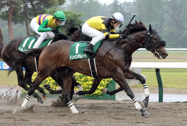 【レパードS】ドンインザムードが不良馬場の戦いで初タイトル&親子制覇　松山弘平騎手「力を証明できてホッと」