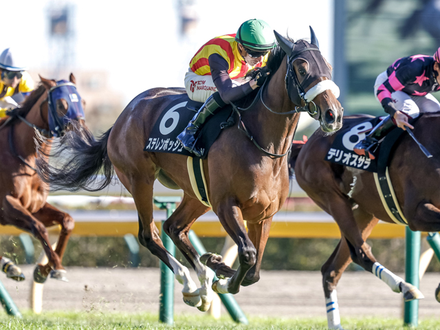 競馬の極み スリクソン ZXi7 アイアン N.S.PRO MODUS3 TOUR 120 スチール
