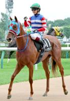  3аʾ塦ưۥե饤ϥCءơѥɤϾʿ̾ŲS